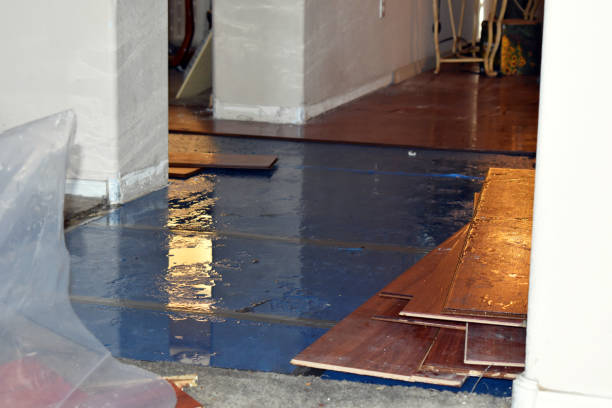 Professional Structural Drying technician working in Temple, ME